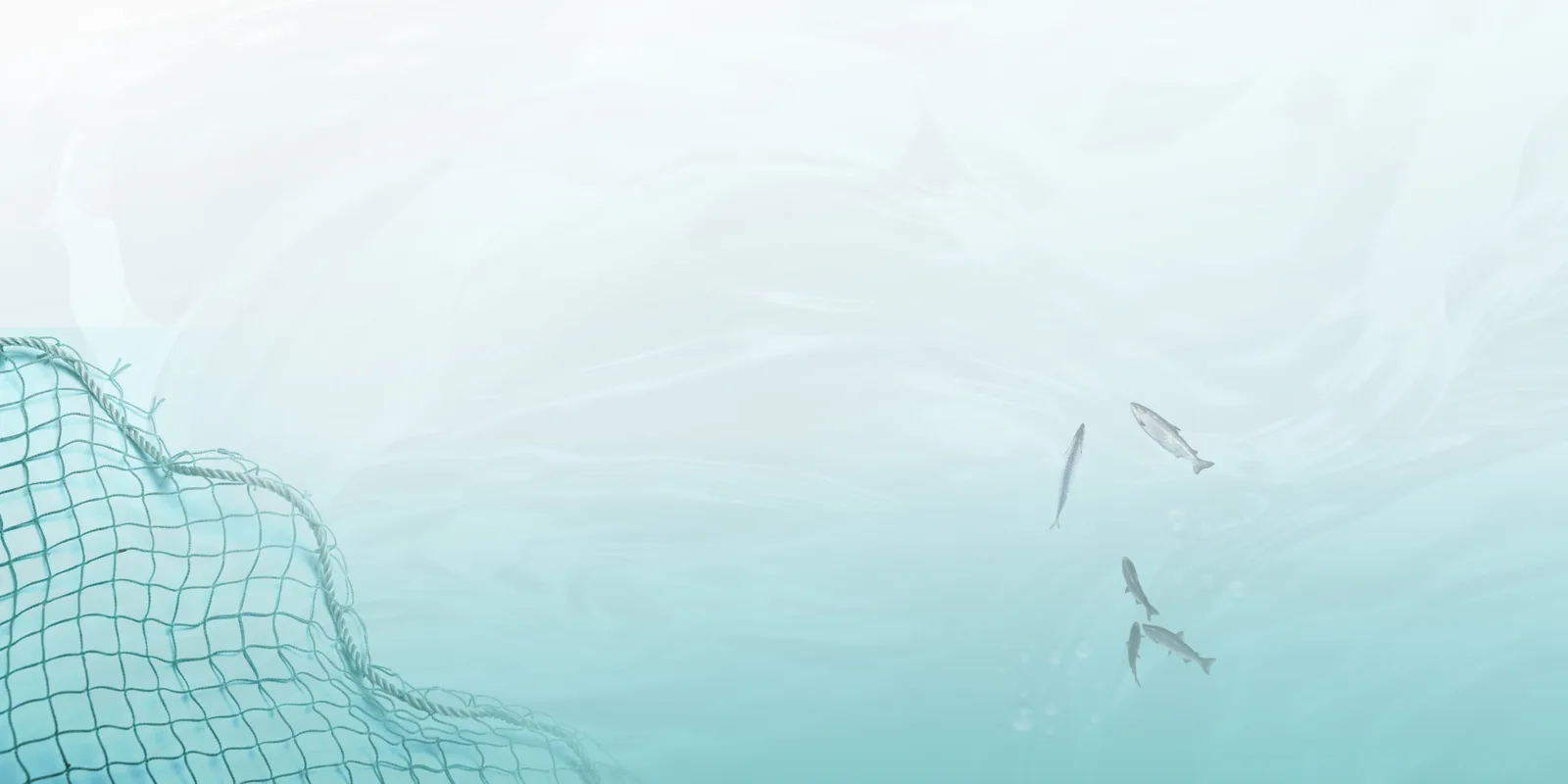 AQUA FARM GLOBAL 2026