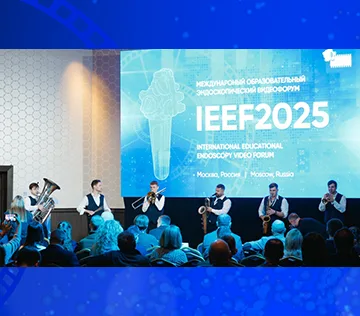 IEEF 2026