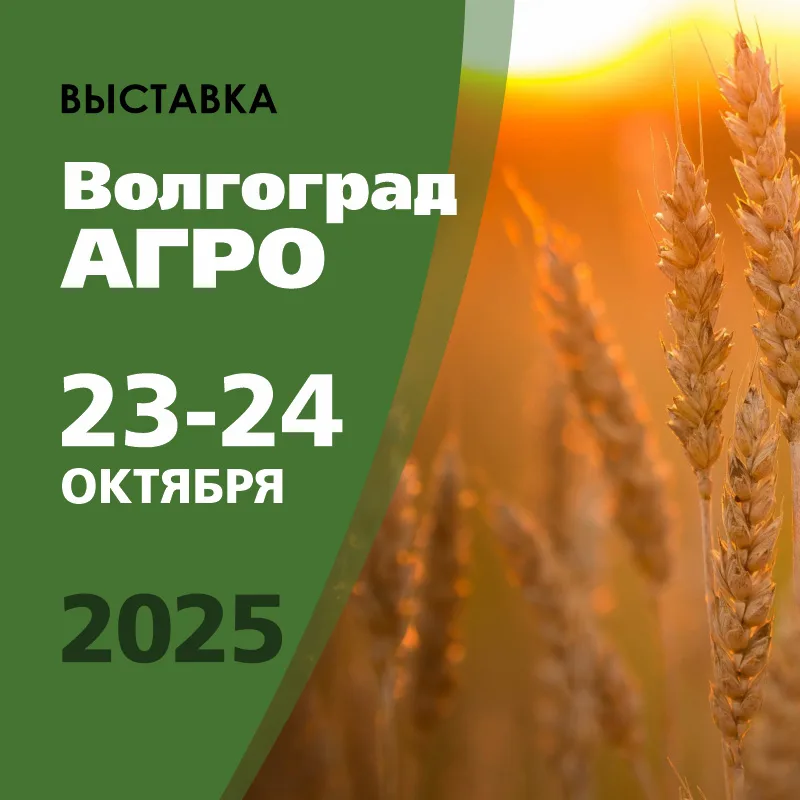 День поля «ВолгоградАгро». 2025