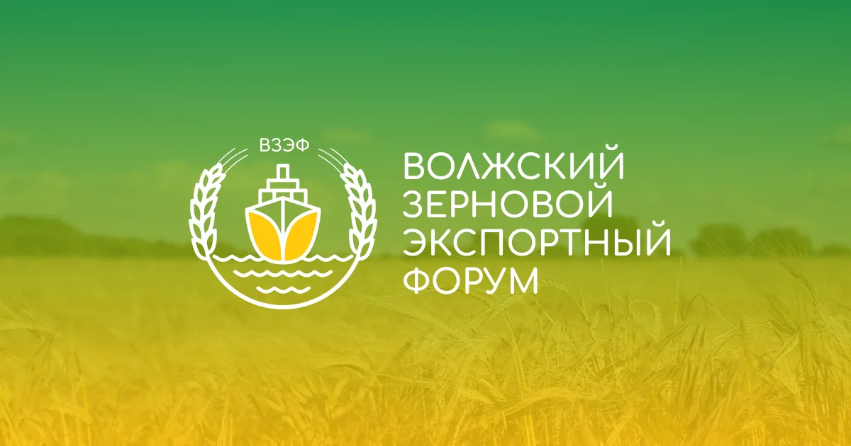 ВЗЭФ 2026