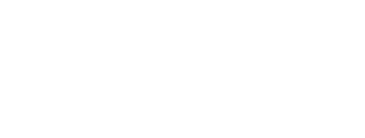 PornConf 2027
