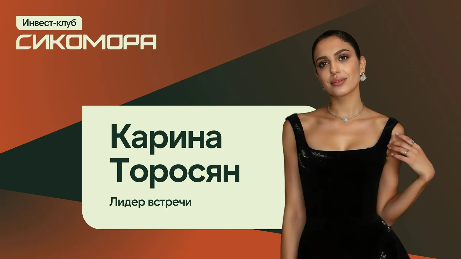 Финансовый мастермайнд. Ваш персональный совет директоров по инвестициям