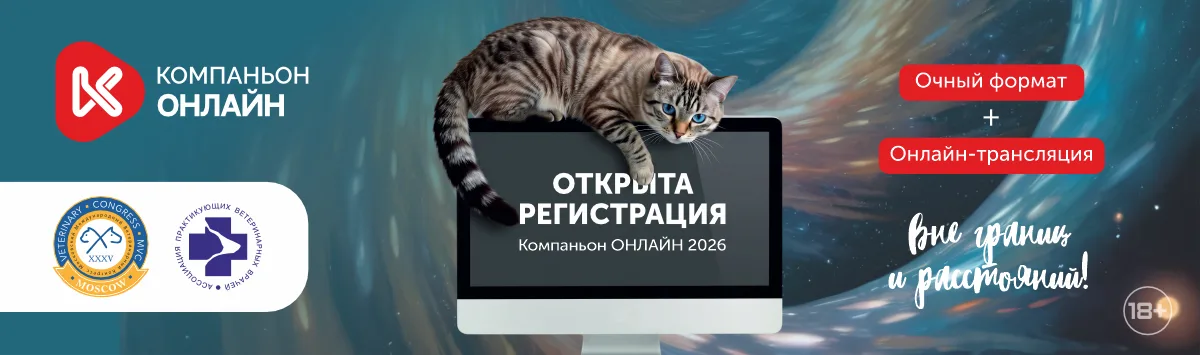 Компаньон 2026